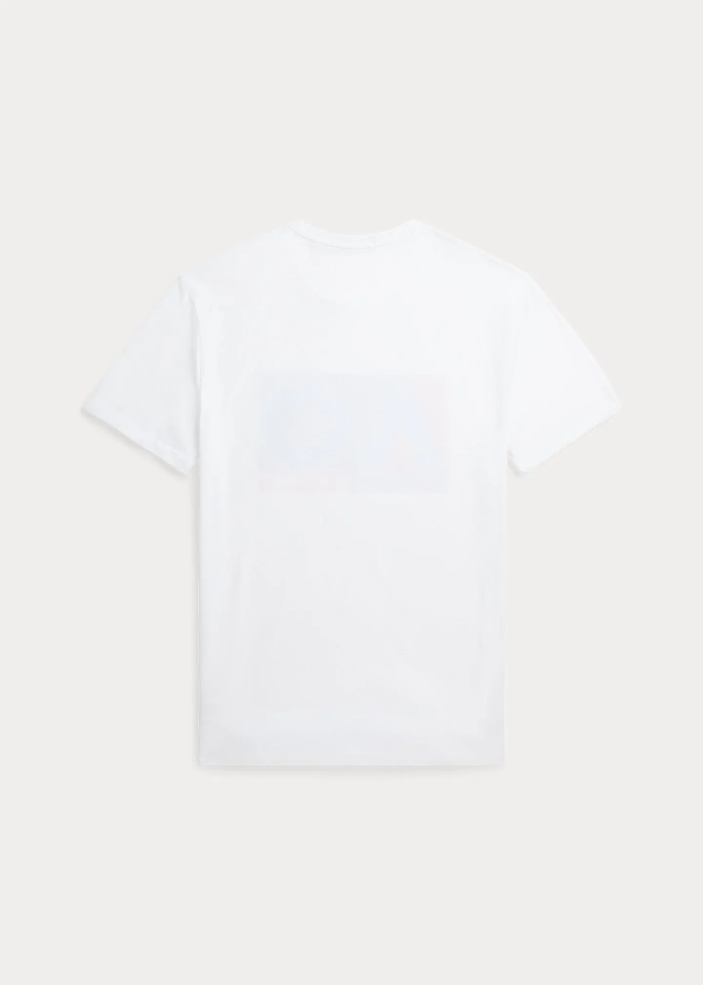 Men's T-Shirt AO Polo